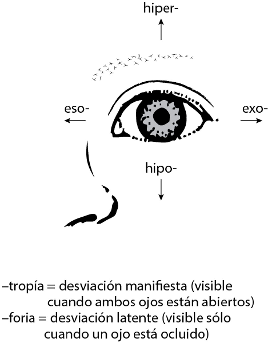 Desviaciones oculares en el estrabismo